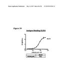 METHODS OF PREVENTING OR TREATING PAIN USING ANTI-NGF ANTIBODIES THAT     SELECTIVELY INHIBIT THE ASSOCIATION OF NGF WITH TRKA, WITHOUT AFFECTING     THE ASSOCIATION OF NGF WITH P75 diagram and image