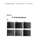 METHODS OF PREVENTING OR TREATING PAIN USING ANTI-NGF ANTIBODIES THAT     SELECTIVELY INHIBIT THE ASSOCIATION OF NGF WITH TRKA, WITHOUT AFFECTING     THE ASSOCIATION OF NGF WITH P75 diagram and image