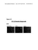 METHODS OF PREVENTING OR TREATING PAIN USING ANTI-NGF ANTIBODIES THAT     SELECTIVELY INHIBIT THE ASSOCIATION OF NGF WITH TRKA, WITHOUT AFFECTING     THE ASSOCIATION OF NGF WITH P75 diagram and image