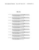 TUMOR NECROSIS FACTOR-LIKE LIGAND 1A SPECIFIC ANTIBODIES AND COMPOSITIONS     AND USES THEREOF diagram and image