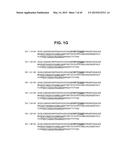 TUMOR NECROSIS FACTOR-LIKE LIGAND 1A SPECIFIC ANTIBODIES AND COMPOSITIONS     AND USES THEREOF diagram and image