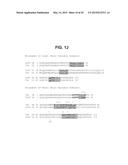 TUMOR NECROSIS FACTOR-LIKE LIGAND 1A SPECIFIC ANTIBODIES AND COMPOSITIONS     AND USES THEREOF diagram and image