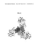 TUMOR NECROSIS FACTOR-LIKE LIGAND 1A SPECIFIC ANTIBODIES AND COMPOSITIONS     AND USES THEREOF diagram and image