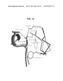 TUMOR NECROSIS FACTOR-LIKE LIGAND 1A SPECIFIC ANTIBODIES AND COMPOSITIONS     AND USES THEREOF diagram and image