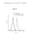 TUMOR NECROSIS FACTOR-LIKE LIGAND 1A SPECIFIC ANTIBODIES AND COMPOSITIONS     AND USES THEREOF diagram and image