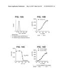 TUMOR NECROSIS FACTOR-LIKE LIGAND 1A SPECIFIC ANTIBODIES AND COMPOSITIONS     AND USES THEREOF diagram and image