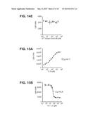 TUMOR NECROSIS FACTOR-LIKE LIGAND 1A SPECIFIC ANTIBODIES AND COMPOSITIONS     AND USES THEREOF diagram and image