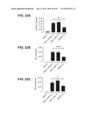 TUMOR NECROSIS FACTOR-LIKE LIGAND 1A SPECIFIC ANTIBODIES AND COMPOSITIONS     AND USES THEREOF diagram and image