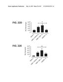 TUMOR NECROSIS FACTOR-LIKE LIGAND 1A SPECIFIC ANTIBODIES AND COMPOSITIONS     AND USES THEREOF diagram and image