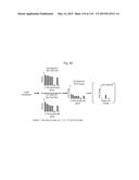 INTERFERON ALPHA-INDUCED PHARMACODYNAMIC MARKERS diagram and image