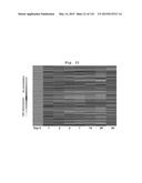 INTERFERON ALPHA-INDUCED PHARMACODYNAMIC MARKERS diagram and image