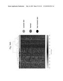 INTERFERON ALPHA-INDUCED PHARMACODYNAMIC MARKERS diagram and image