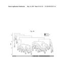 INTERFERON ALPHA-INDUCED PHARMACODYNAMIC MARKERS diagram and image