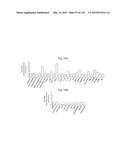 INTERFERON ALPHA-INDUCED PHARMACODYNAMIC MARKERS diagram and image