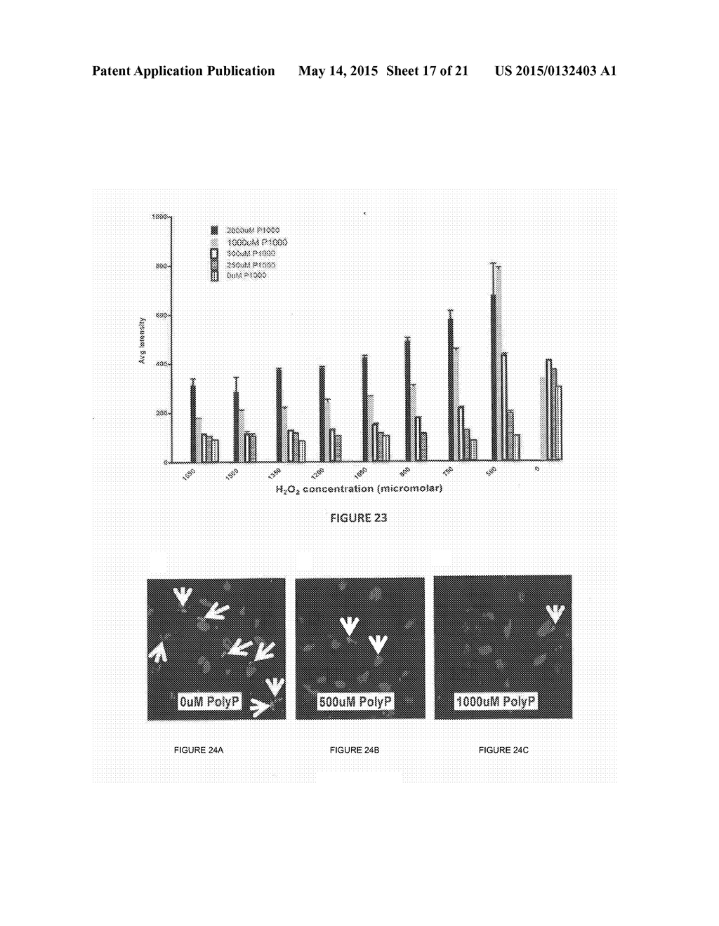 METHODS FOR INHIBITING COMPLEMENT ACTIVATION AND USES THEREOF - diagram, schematic, and image 18