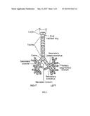 SYSTEM FOR MANUFACTURING FIBER SCAFFOLDS FOR USE IN TRACHEAL PROSTHESES diagram and image