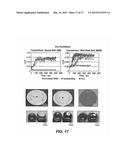 Process for Applying a Friction Reducing Coating diagram and image