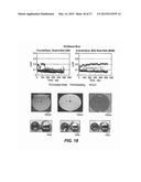 Process for Applying a Friction Reducing Coating diagram and image