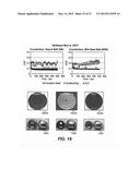 Process for Applying a Friction Reducing Coating diagram and image