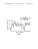 METHOD FOR RAPIDLY EVALUATING PERFORMANCE OF SHORT INTERFERING RNA WITH     NOVEL CHEMICAL MODIFICATIONS diagram and image