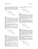 METHOD FOR RAPIDLY EVALUATING PERFORMANCE OF SHORT INTERFERING RNA WITH     NOVEL CHEMICAL MODIFICATIONS diagram and image