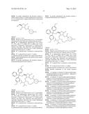 METHOD FOR RAPIDLY EVALUATING PERFORMANCE OF SHORT INTERFERING RNA WITH     NOVEL CHEMICAL MODIFICATIONS diagram and image