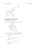 METHOD FOR RAPIDLY EVALUATING PERFORMANCE OF SHORT INTERFERING RNA WITH     NOVEL CHEMICAL MODIFICATIONS diagram and image