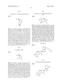 METHOD FOR RAPIDLY EVALUATING PERFORMANCE OF SHORT INTERFERING RNA WITH     NOVEL CHEMICAL MODIFICATIONS diagram and image