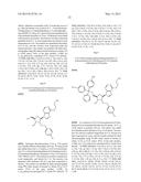 METHOD FOR RAPIDLY EVALUATING PERFORMANCE OF SHORT INTERFERING RNA WITH     NOVEL CHEMICAL MODIFICATIONS diagram and image