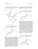 METHOD FOR RAPIDLY EVALUATING PERFORMANCE OF SHORT INTERFERING RNA WITH     NOVEL CHEMICAL MODIFICATIONS diagram and image