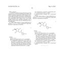 METHOD FOR RAPIDLY EVALUATING PERFORMANCE OF SHORT INTERFERING RNA WITH     NOVEL CHEMICAL MODIFICATIONS diagram and image