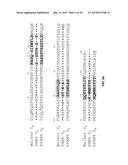 Anti-Pancreatic Cancer Antibodies diagram and image