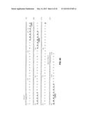 Anti-Pancreatic Cancer Antibodies diagram and image