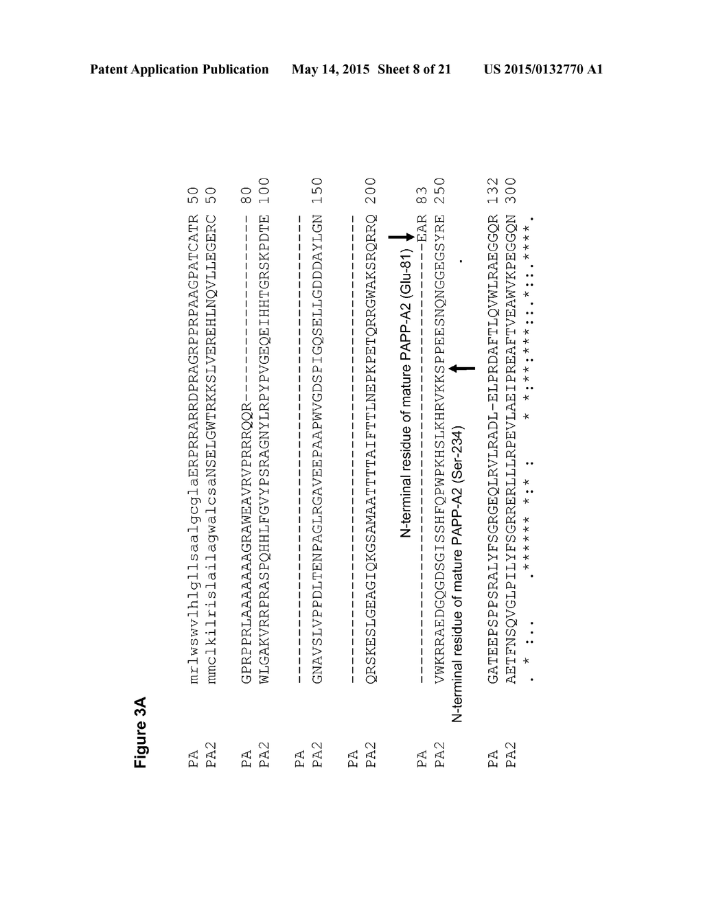 PREGNANCY-ASSOCIATED PLASMA PROTEIN-A2 (PAPP-A2) POLYNUCLEOTIDES - diagram, schematic, and image 09