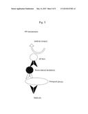 METHOD FOR DIAGNOSING CANCER BY DETECTING GPC3 diagram and image