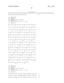 KETOREDUCTASE POLYPEPTIDES diagram and image