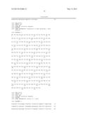 KETOREDUCTASE POLYPEPTIDES diagram and image