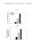 Thermococcus onnurineus MC02 and method of hydrogen production using     thereof diagram and image