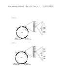 THERMOSTABLE CATALASE diagram and image