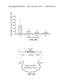 Systems and Methods for Improving Nuclease Specificity and Activity diagram and image