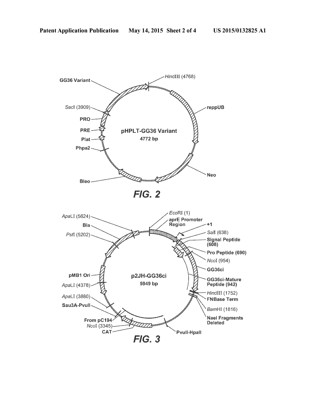 COMPOSITIONS AND METHODS COMPRISING SERINE PROTEASE VARIANTS - diagram, schematic, and image 03