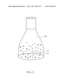 TISSUE CULTURING METHOD, CULTURING METHOD OF FERNS AND EXPLANT OBTAINED     THEREFROM diagram and image