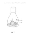 TISSUE CULTURING METHOD, CULTURING METHOD OF FERNS AND EXPLANT OBTAINED     THEREFROM diagram and image