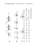 CELL-BASED GENOMIC RECORDED ACCUMULATIVE MEMORY diagram and image