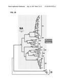 METHODS OF DETECTING INFLUENZA VIRUS diagram and image