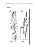 METHODS OF DETECTING INFLUENZA VIRUS diagram and image