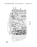 COMPOSITIONS AND METHODS FOR DETECTING COMPLICATED SARCOIDOSIS diagram and image