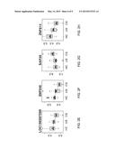 COMPOSITIONS AND METHODS FOR DETECTING COMPLICATED SARCOIDOSIS diagram and image