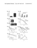 Dietary Compositions and Methods for Protection Against Chemotherapy,     Radiotherapy, Oxidative Stress, and Aging diagram and image