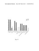 Dietary Compositions and Methods for Protection Against Chemotherapy,     Radiotherapy, Oxidative Stress, and Aging diagram and image